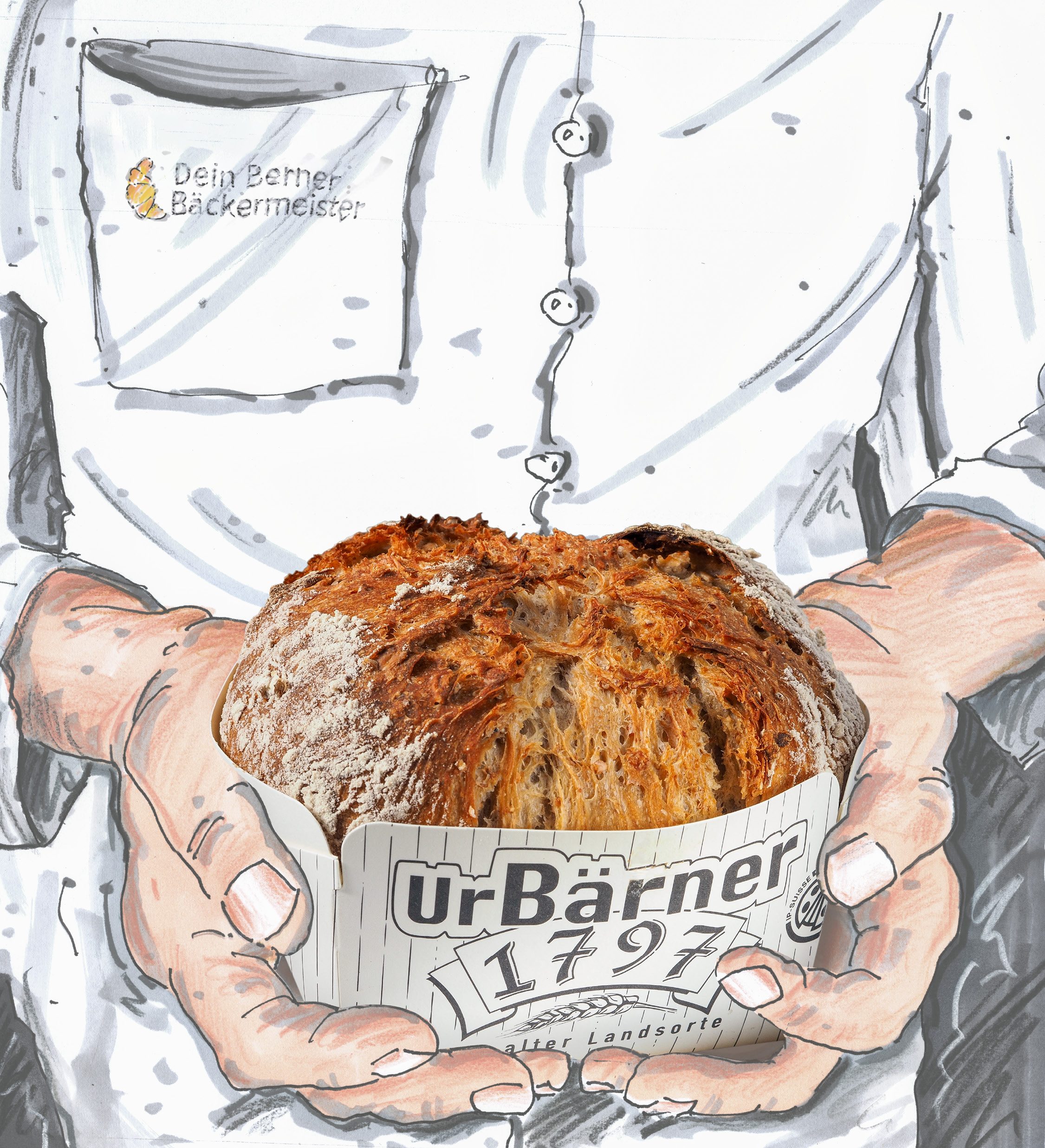 titelbild2 titelbild2